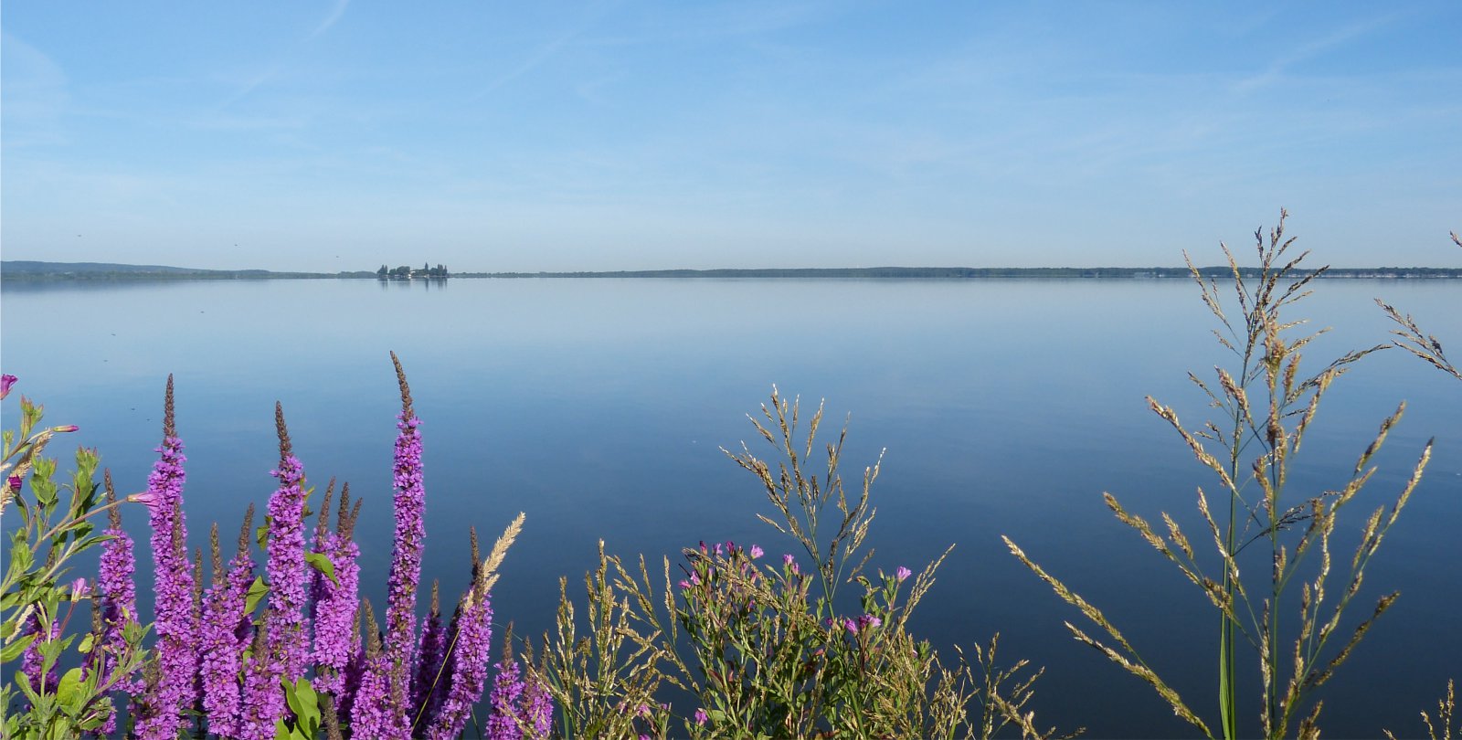 Teamevents am Steinhuder Meer